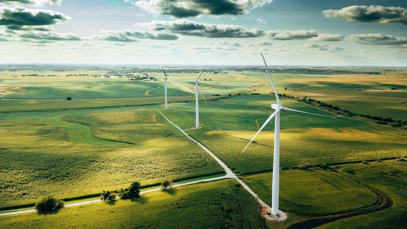 There are plenty of opportunities to study the environment and our role in protecting it, and a wide range of employment opportunities after study. Photograph: iStock