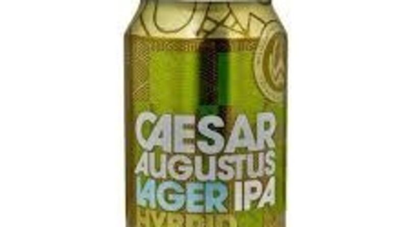 Caesar Augustus Lager IPA Hybrid from Aldi is a light and refreshing tipple