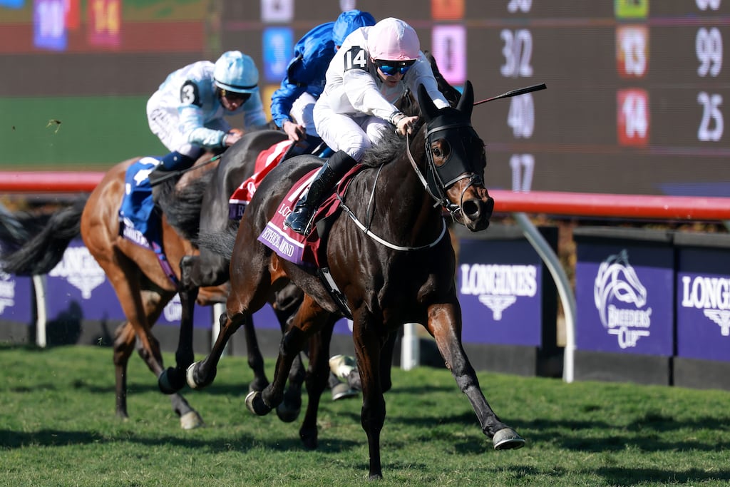 Ethical Diamond ridden by Dylan Browne McMonagle wins the Breeders' Cup Turf race at Del Mar in California on Saturday. Photograph: Sean M Haffey/Getty Images