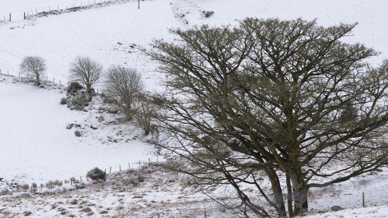 Snow scene in the Dublin Mountains recently. Photograph:Cyril Byrne/The Irish Times