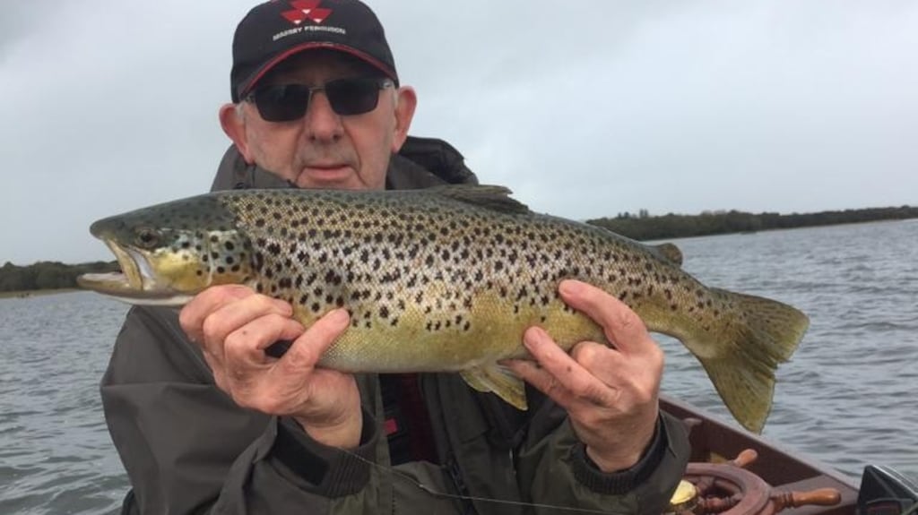 Fish of the final week on Sheelin went to Oliver McCormack with a magnificent trout of 6lb 2oz on a Green Peter Bumble in the Orangefield area