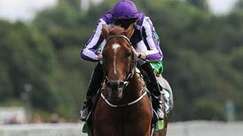 Australia will run at Leopardstown