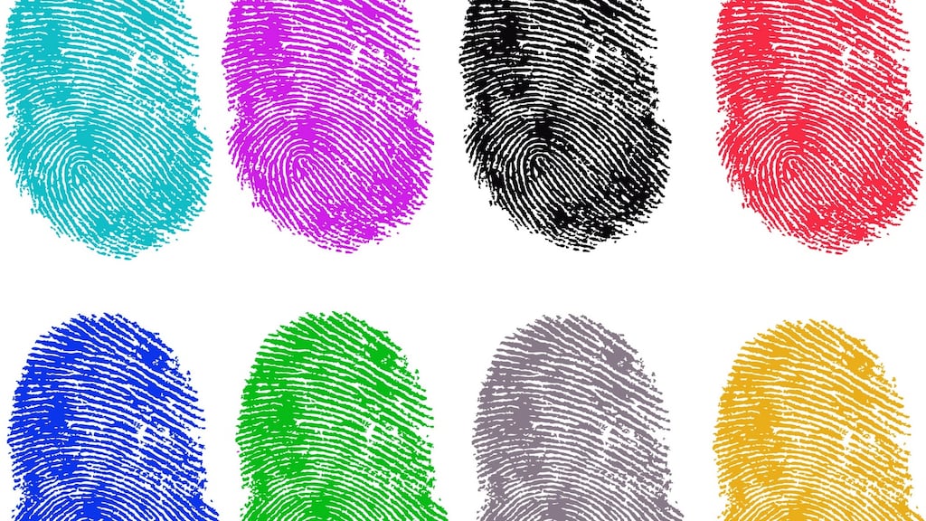 In one email, the Garda National Vetting Bureau said “the institutions in question are places open to the public at large and each of the roles . . . would be working with everyone in attendance.” Photograph: Hemera/Thinkstock/Getty