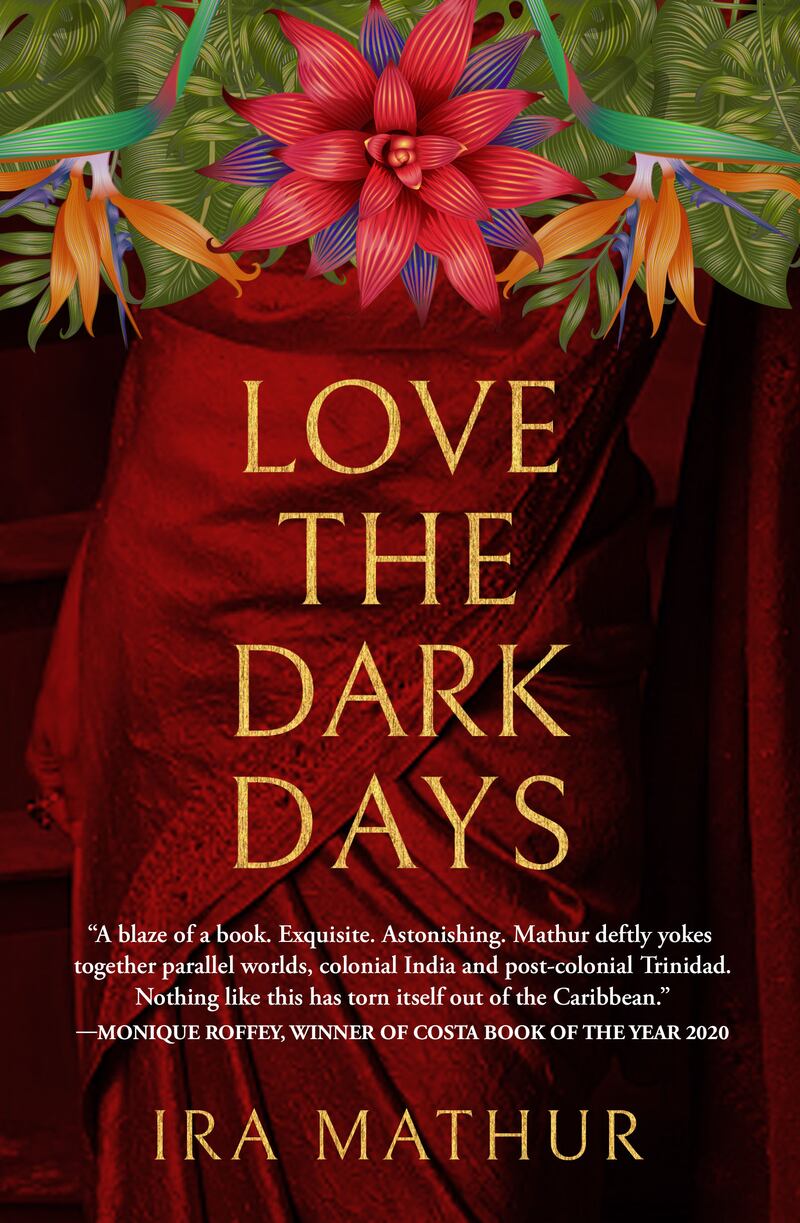 Love the Dark Days by Ira Mathur