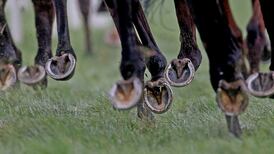 Top Northern trainer unaware of life assurance for stable staff