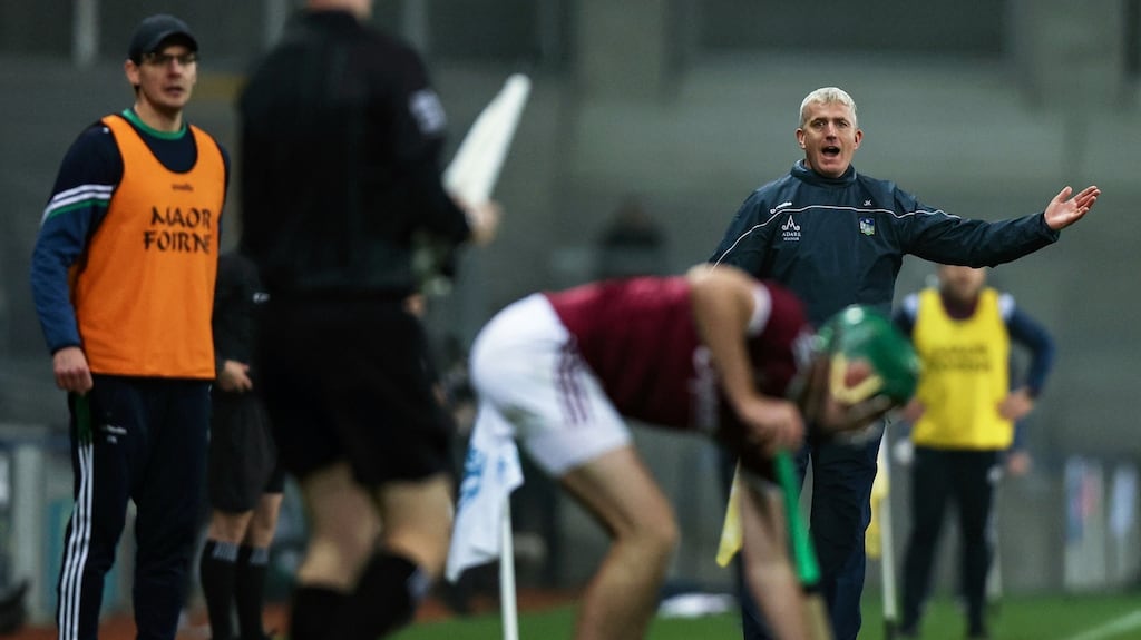 Limerick manager John Kiely had spoken out about the limit on panel numbers at intercounty matches. Photograph: Tommy Dickson/Inpho