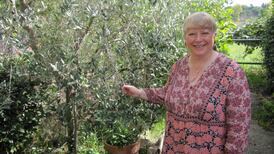 ‘The day I emigrated, my mother wouldn’t say goodbye’