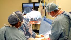 NUI Galway leads stem-cell  research on diabetic kidney disease