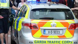 305 new garda cars to be delivered by January