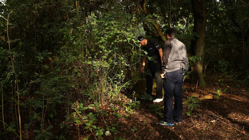 Lowry looks for his ball on the 15th at Valderrama which cost him a double bogey during the final round. Photo: Warren Little/Getty Images