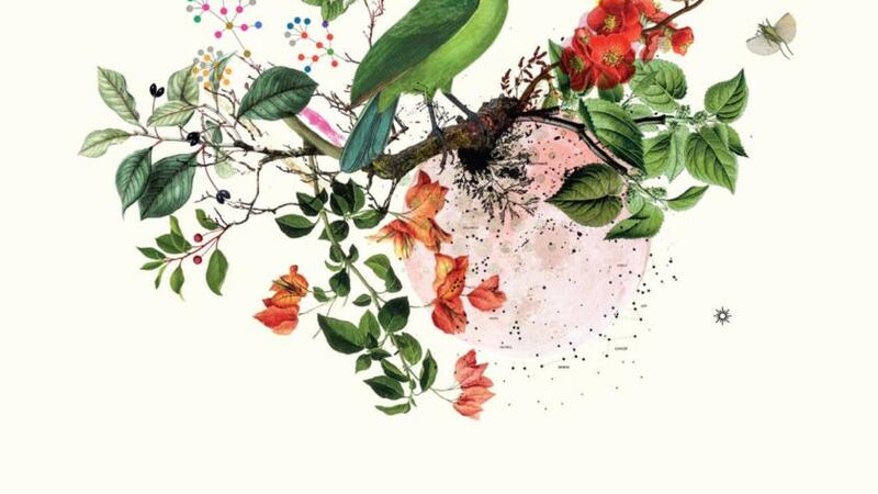 Sara Serpa & Andre Matos - All the Dreams album review: Balm for the ears