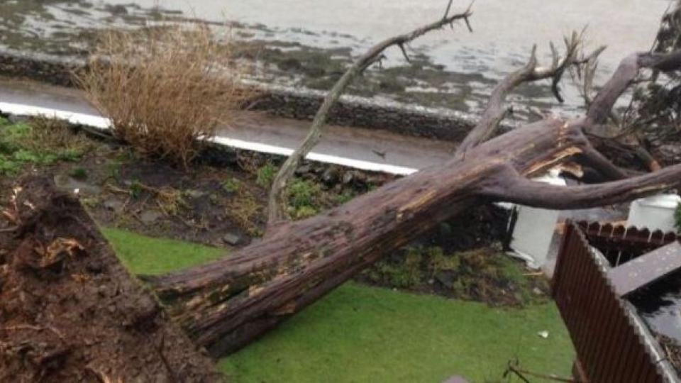 A tree blocking the road in Milltown, Dingle. Photograph: Marian O’Flaherty