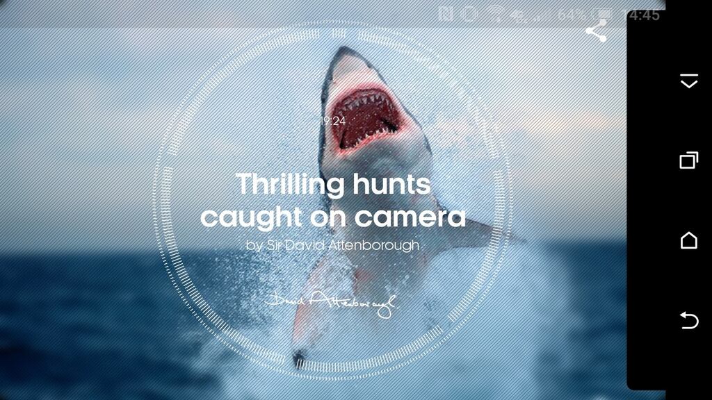 Older clips are  grainy but newer footage is stunning.