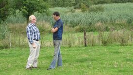 Swampy tale that could help us out of a morass