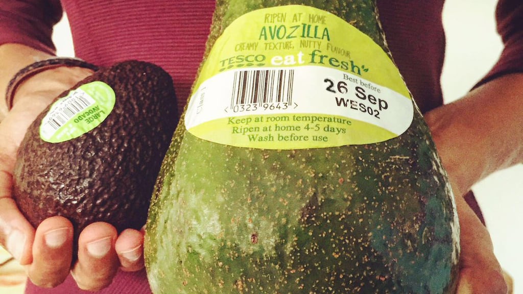 Avozillas go on sale in Ireland on Saturday
