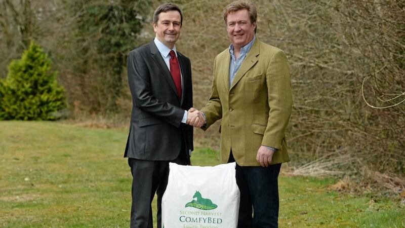 New Innovator: ComfyBed