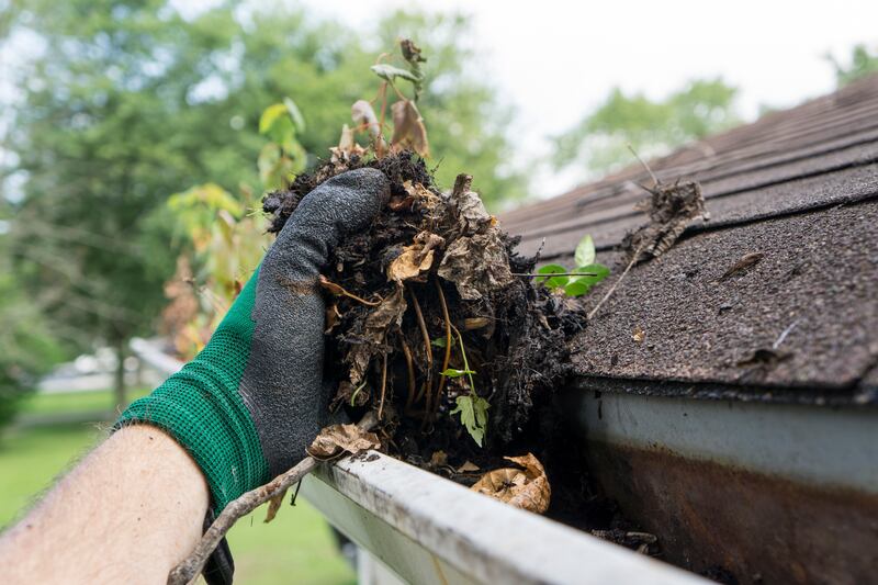 Gutters should be checked at least once a year to keep bigger problems from happening in the future. Photograph: iStock/Getty Images