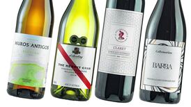 Four wines worth a few euros more