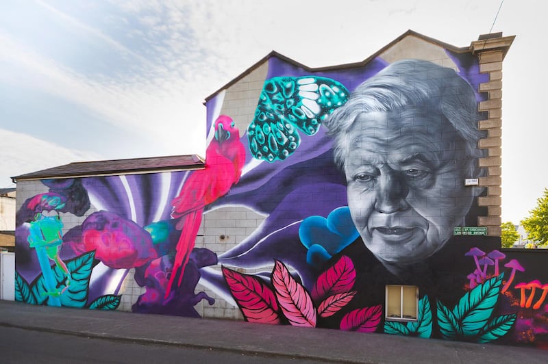 A mural of David Attenborough on the side of a house in Portobello, Dublin. Photograph: Subset/PA