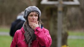 New poetry: The Keelie Hawk, poems written entirely in Scots, will delight and puzzle