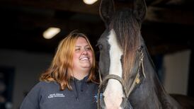 ‘It’s more than the horses now’: North Co Dublin equine therapy centre searching for a new home