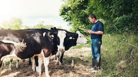 Living up to our clean, green food production image