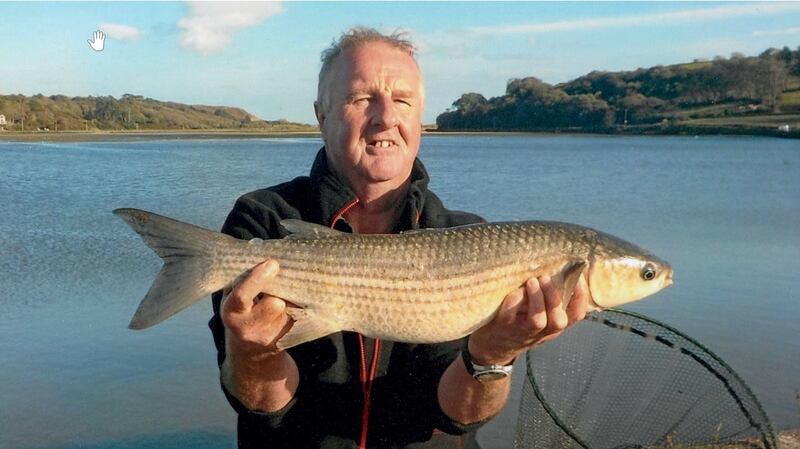 The Dr Michael Kennedy Award for the best specimen mullet of 2020 went to Robbie Reid for a fish of 3.23kg at Rosscarbery, Co Cork in September