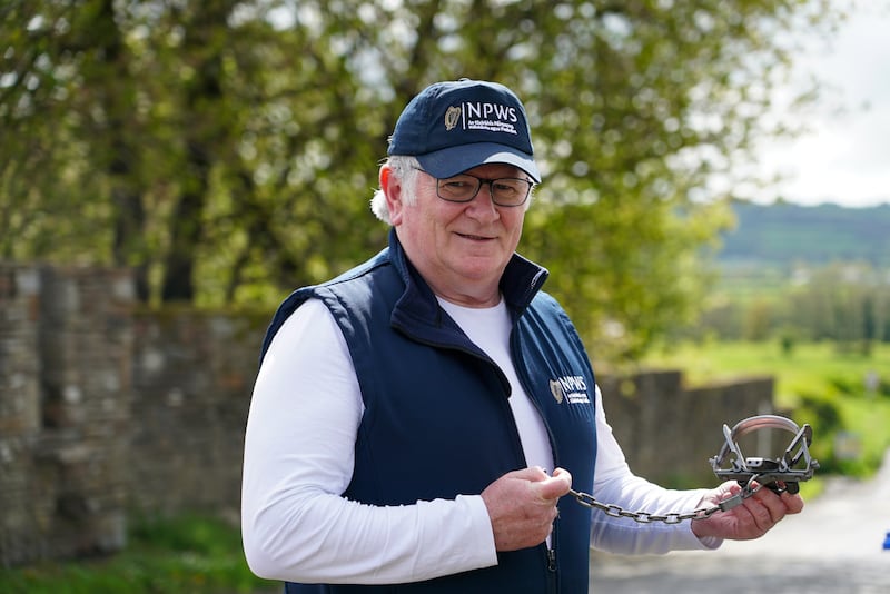 Kieran Buckley holding an illegal leg-hold trap for hunting mammals or birds. Photograph: Enda O'Dowd