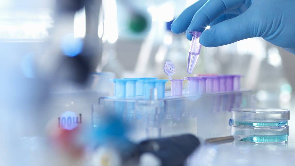 Malin was the subject of a board and management overhaul in the middle of last year that led to a refocusing of its disparate portfolio of investments around four priority assets