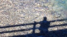 Restoring NI Assembly key to tackling suicide rate, says lobbyist