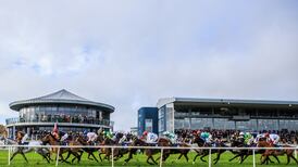 Bumper crowd expected as Naas offers free entry to ‘Trials’ card that does what it says on the tin