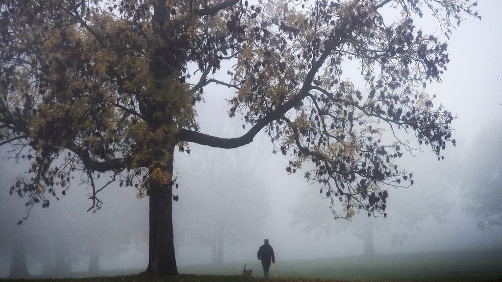 A man walks his dog at a park through heavy morning fog in London. Three flights from Dublin to London were cancelled on Tuesday morning as fog in the UK continues to cause disruption to flight schedules. Photograph: Andy Rain/EPA