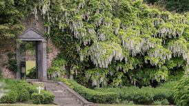 From A-Z: Gifts for the gardening lover in your life