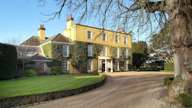 Court awards €323,000 to man seriously injured while cutting ivy