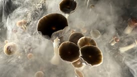 Could microdosing with psychedelics help treat depression?