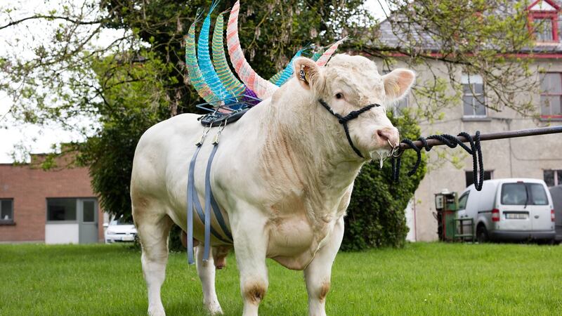 Maria McKinney: Management/Polled, Doon just the job (CH2305)