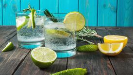 Six Irish gins to try on World Gin Day, or any day