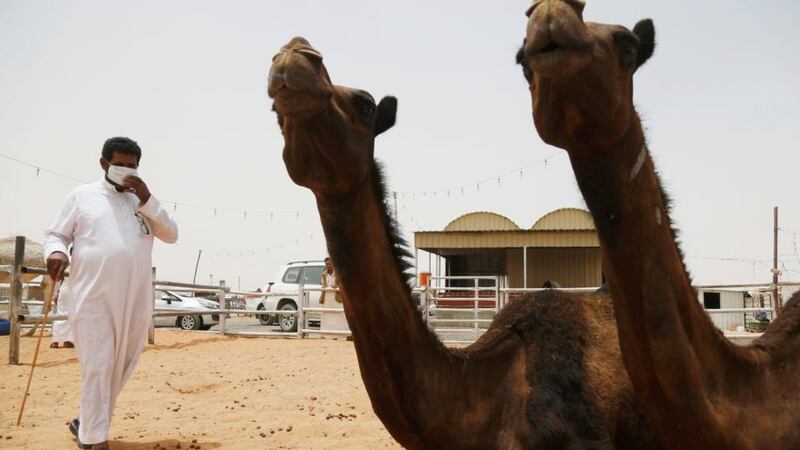 US confirms second case of lethal MERS virus