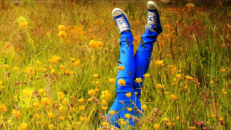 National Biodiversity Week 2020 is offering a large number of opportunities to get up close to nature – even if Covid-19 has forced a switch to online. File Photographer: Anne Costello.