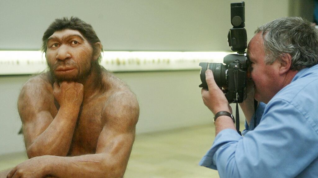 ‘It’s sobering to consider that in a parallel history the world might have looked more like a planet of the apes.’ File image: Sebastian Willnow/AFP/Getty