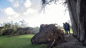 Storm Darragh: Power outages could last for days after Ireland battered by strongest winds for years