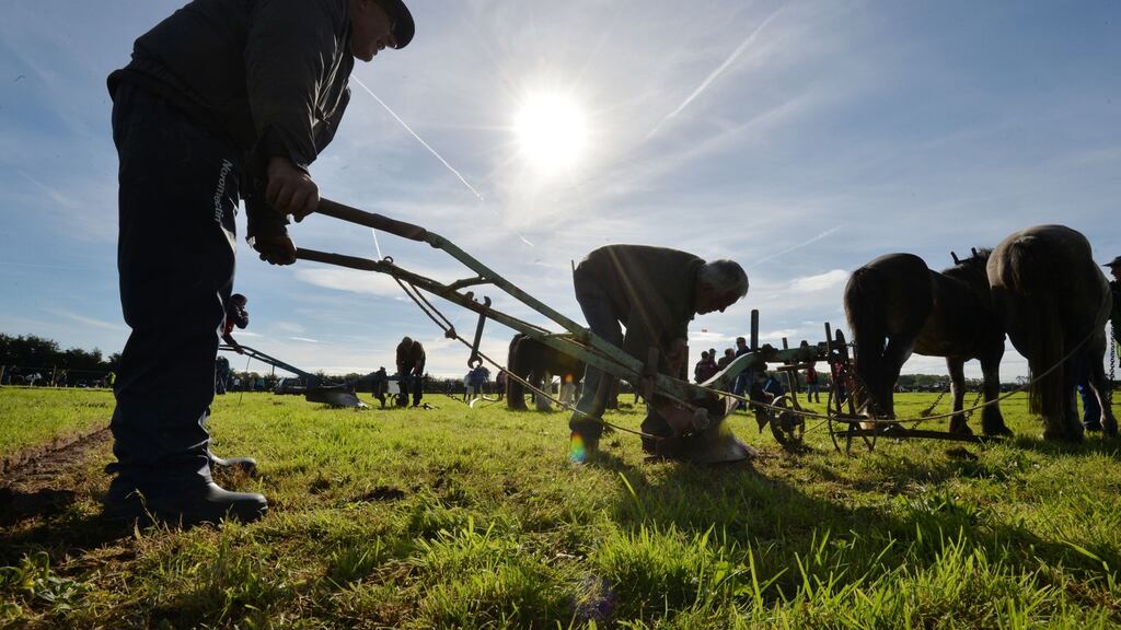 Edward Allen and Les Hanbridge from Wicklow, compete in the Special Horse Class on the last day of the National Ploughing Championships in Screggan, Tullamore, Co Offaly. Photograph: Alan Betson