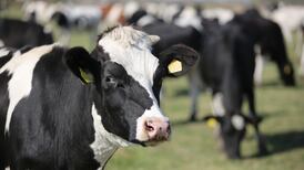 IFA hits out at Glanbia over latest milk price cut