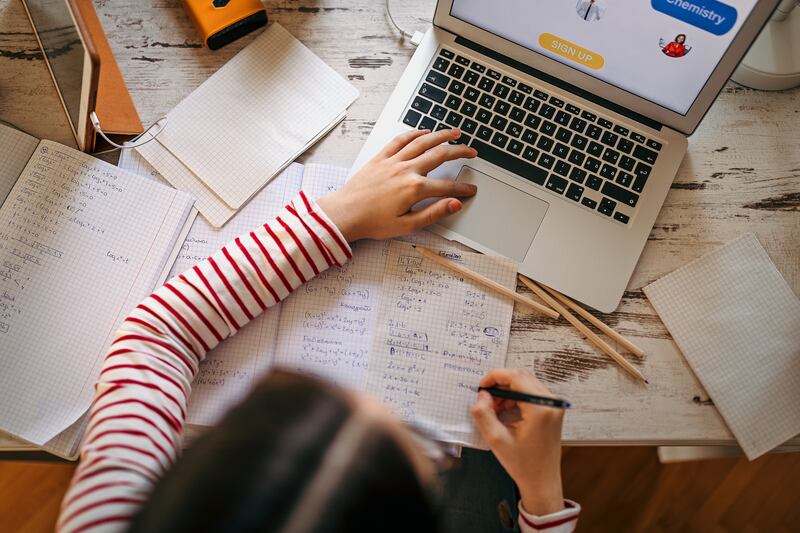 Online study options are popular with many students as they are easily accessible and tend to cost less than traditional grinds. Photograph: iStock