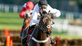 Singular Constitution Hill on verge of Cheltenham festival performance for the ages