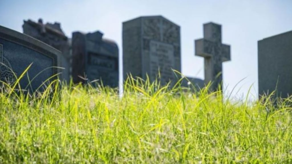 The CSO reported 9,564 deaths in the first quarter of 2021. Photograph: iStock