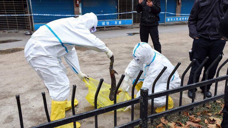 Workers in protective gear at Huanan Seafood Market, where the first case of a patient with an unknown, Sars-like infection was reported on December 8th. Photograph: Chinatopix via AP