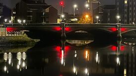 How energy-efficient LEDs are disrupting animal life and blinding us to the night sky