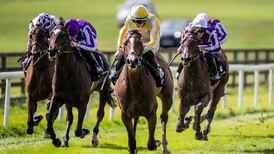 Joseph O’Brien hoping top three-year-olds can bounce back at Royal Ascot