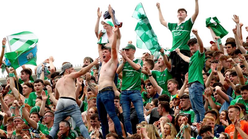 Limerick fans celebrate at the end of the game. Photo: James Crombie/Inpho